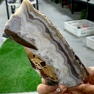 #ad 298G Natural Crazy Banded Lace Agate Crystal Polished Slice Mexican Healing