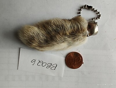 #ad Real Natural Lucky Rabbit Foot Keychain with nails multi color Brown greys Bunny