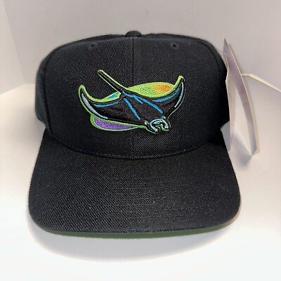 #ad Tampa Bay Devil Rays Vintage Snapback Hat American Needle Official MLB. 20% Wool