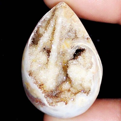 #ad 146.20Ct Untreated Natural Fossil Snail Druzy Fancy Cabochon 28X40X23mm Gemstone