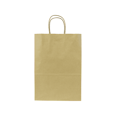 #ad Karat Laguna Medium Paper Shopping Bags Kraft 250 ct FP SB110