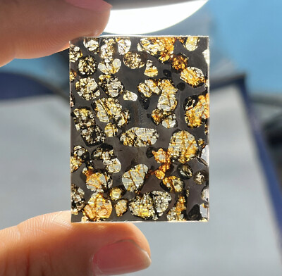 #ad 1PC random SERICHO pallasite Olive meteorite iron slice from Kenya Meteorites