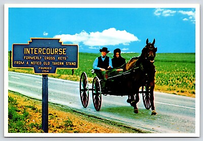 #ad Pennsylvania Intercourse Courting Buggy Vintage Postcard Continental