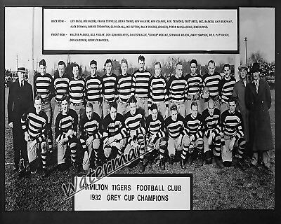 #ad CFL 1932 Hamilton Tiger Cats Grey Cup Champions Team Picture 8 X 10 Photo