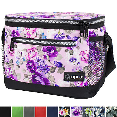 Insulated Lunch Bag Leakproof Thermal Bento Cooler Tote for Women and Men Kids $16.99