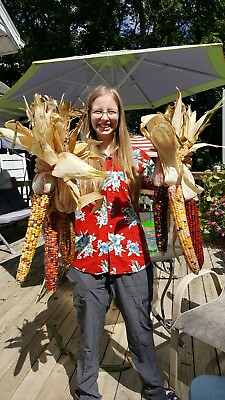#ad Rare Giant Indian Corn Seeds X50 Colorful Massive EarsOrnamental Easy To Grow