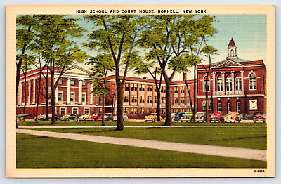 #ad Hornell NY New York High School And Court House Vintage Antique Postcard