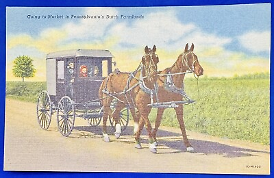 #ad Pennsylvania Dutch Farmlands Horse Buggy Vintage Postcard
