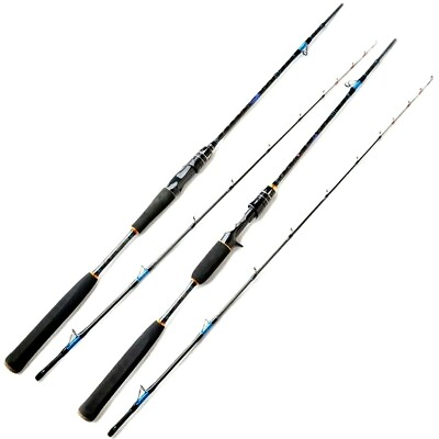 #ad Boat Jigging Casting Spinning Fishing Rod Pole Japan Carbon Fiber Fast 2Sections