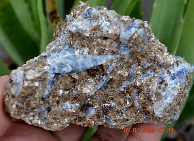 #ad Blue Corundum Sapphire crystal cluster in Phlogopite natural specimen Afghanista