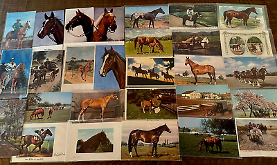 #ad Big Lot of 31 Vintage Animal Postcards with Horses amp; Ponies 23 Unused h653
