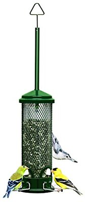 #ad Squirrel Buster Mini Squirrel proof Bird Feeder w 4 Metal Perches 1.3lbs Seed C