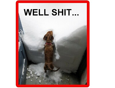 #ad Funny Dachshund Dog In Snow Refrigerator Tool Box Magnet