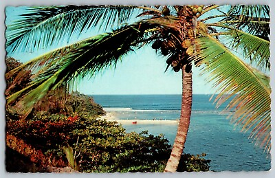#ad Portland Jamaica San San Bay Tree Ocean View Vintage Postcard Posted