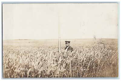 #ad Larimore ND Postcard RPPC Photo Wheat Field Farmer Farming c1910#x27;s Antique