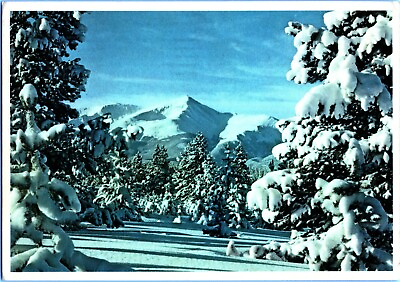 #ad 1980s Chrome Postcard Mount Elbert In Winter Colorado