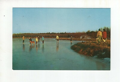 #ad Vintage Post Card Cape Cod Cranberry Bog Massachusetts