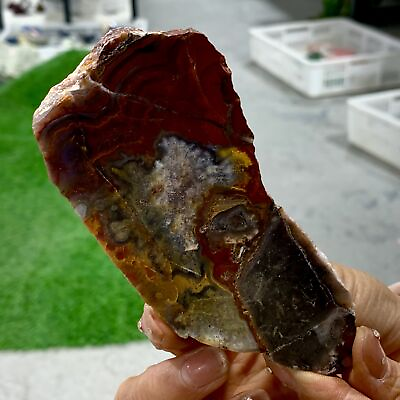 #ad 146G Natural Crazy Banded Lace Agate Crystal Polished Slice Mexican Healing