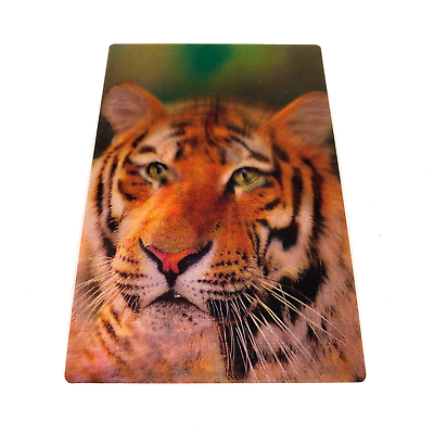 #ad Tiger Cat Morph Shifting Motion Photograph 3d Demo Print Lenticular Animal 3 d