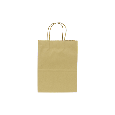 #ad Karat Balboa Small Paper Shopping Bags Kraft 250 ct FP SB100